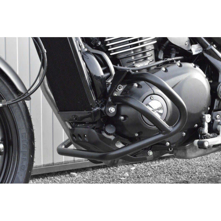 RIDING SCHOOL KIT FOR TRIUMPH SPEED 400 (24)
