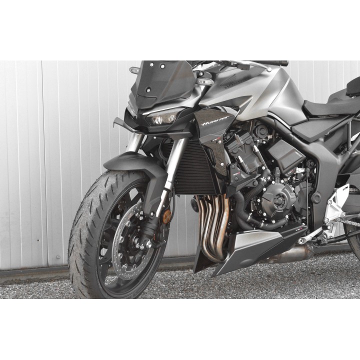 SABOT HONDA HORNET 1000 (25)