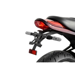 LICENSE PLATE HOLDER FOR KAWASAKI Z900RS (18-23)